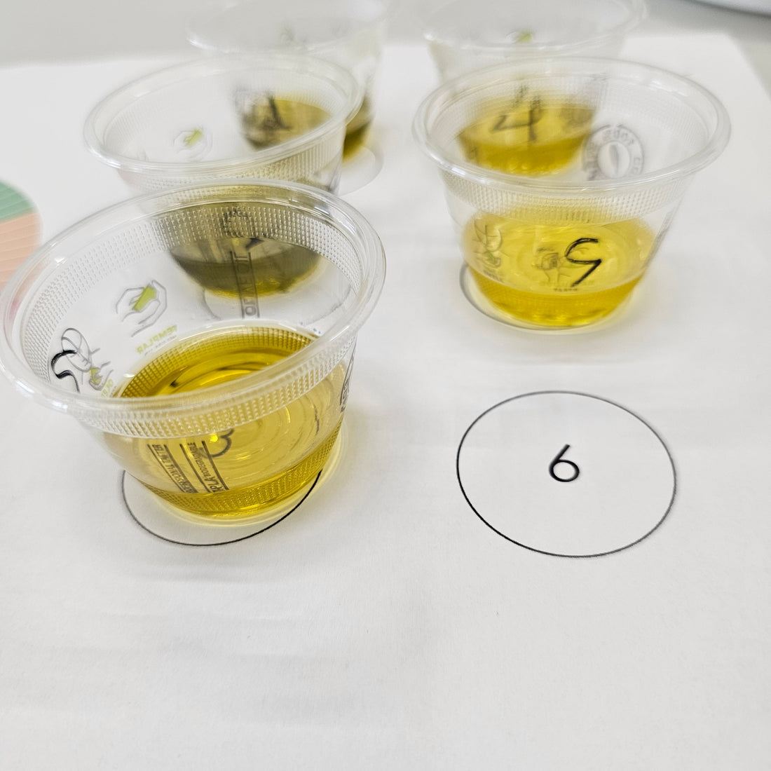 Master the Art of Olive Oil Tasting